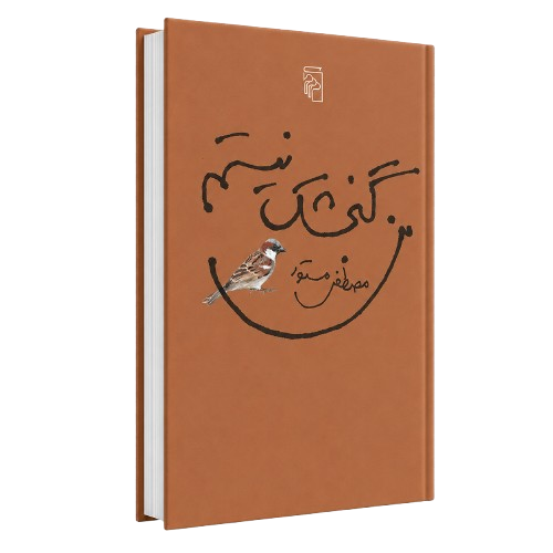 کتاب من گنجشک نیستم اثری از مصطفی مستور